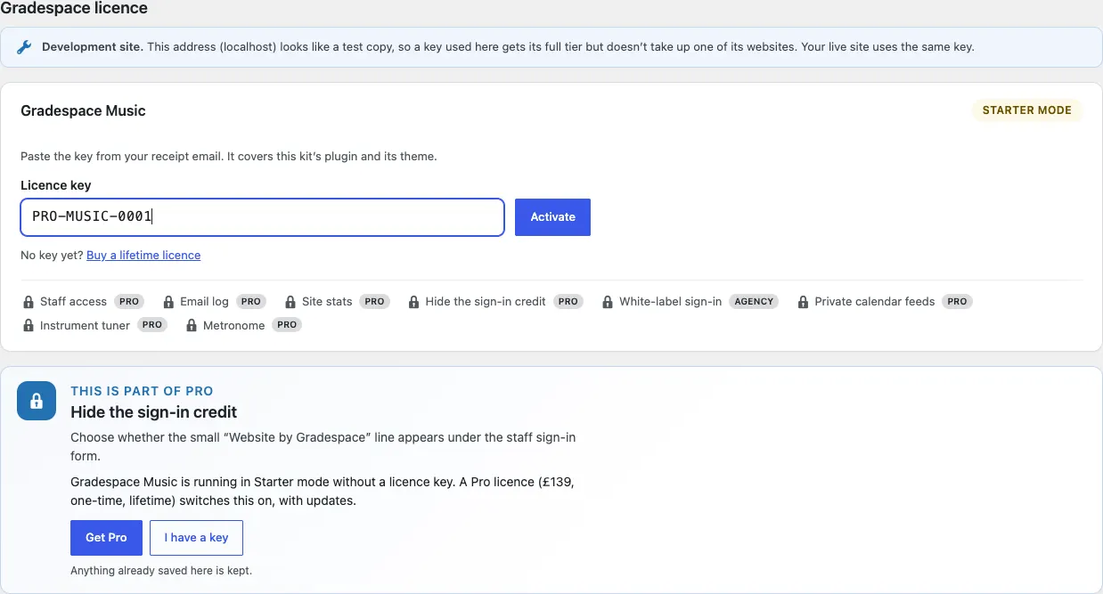A sample licence key pasted into the Licence key box, ready to click Activate