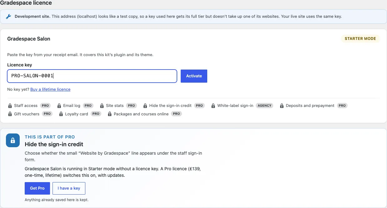 A sample licence key pasted into the Licence key box, ready to click Activate
