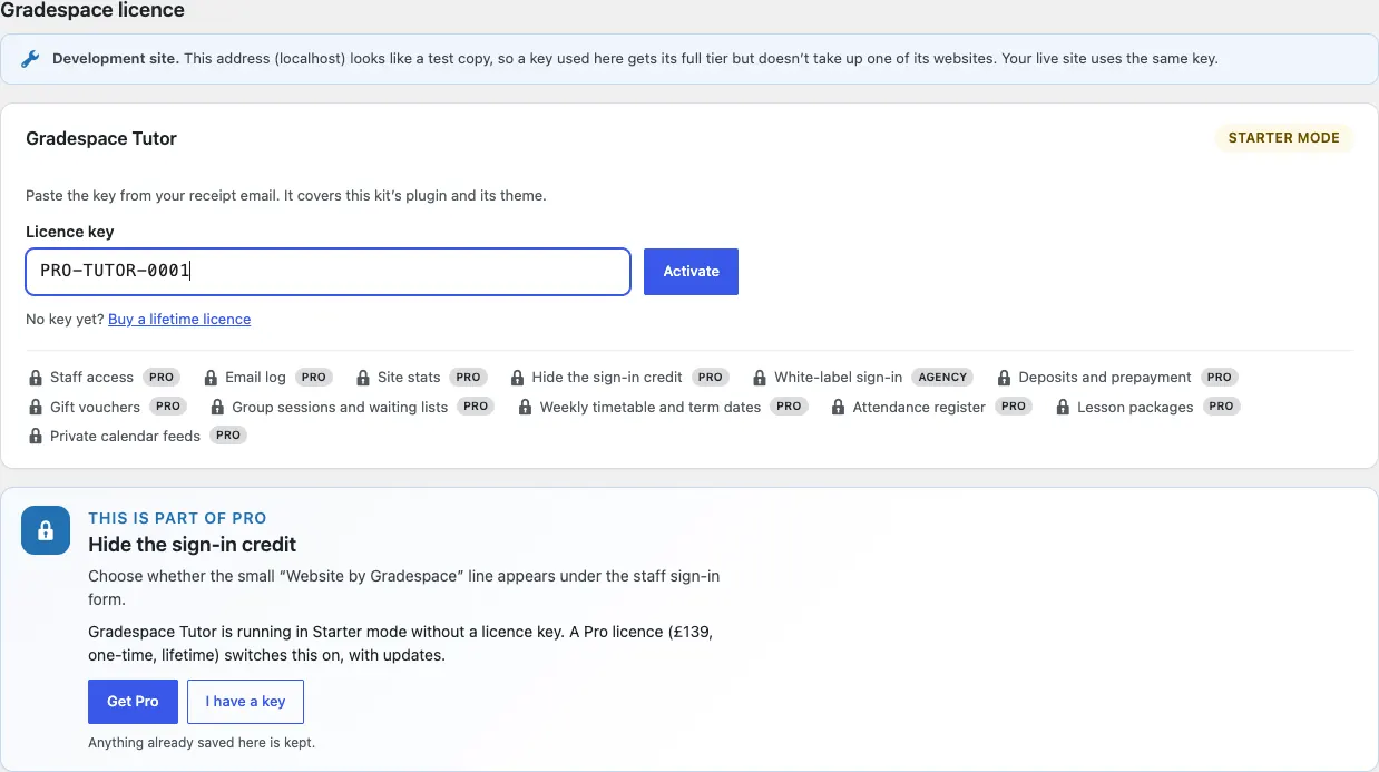 A sample licence key pasted into the Licence key box, ready to click Activate